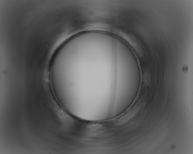 X0000102481462200808081254