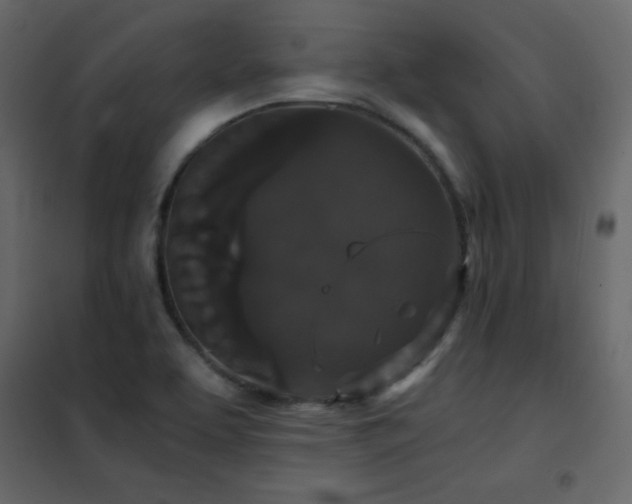 X0000102481463200808081254