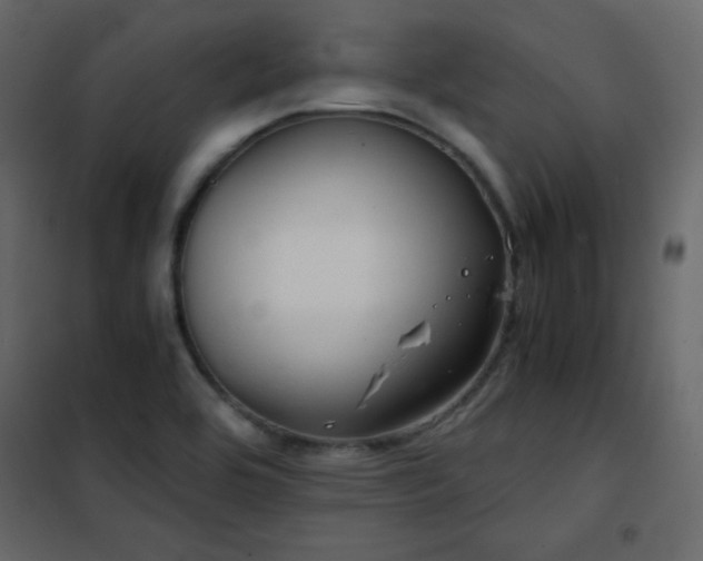 X0000102481464200808081254