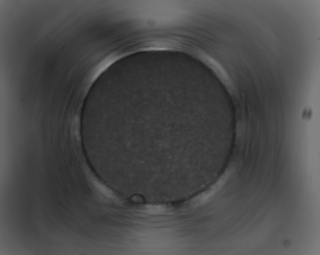 X0000102481465200808081254
