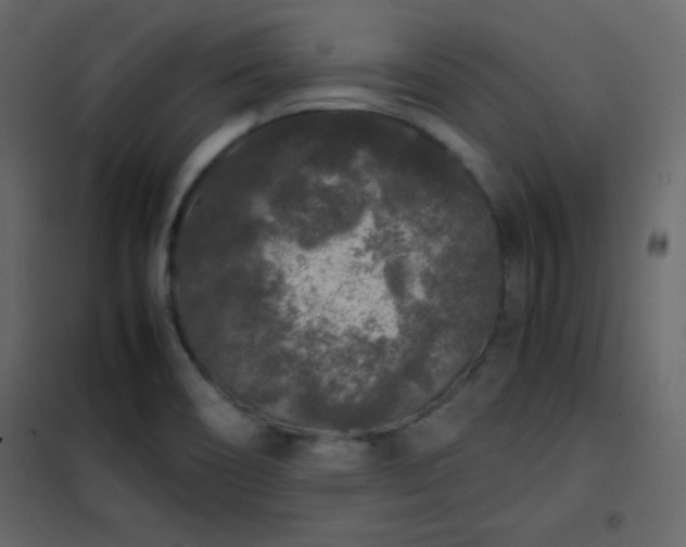 X0000102481466200808081254
