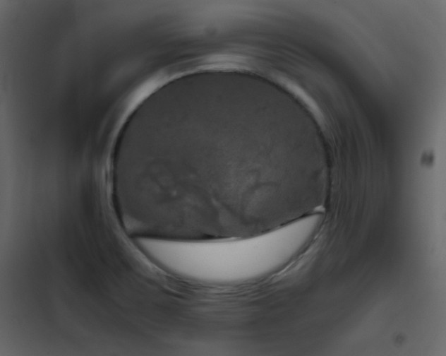 X0000102481467200808081254