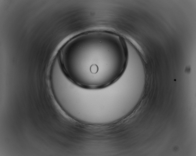 X0000102481468200808081254