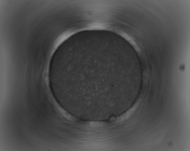 X0000102481469200808081254