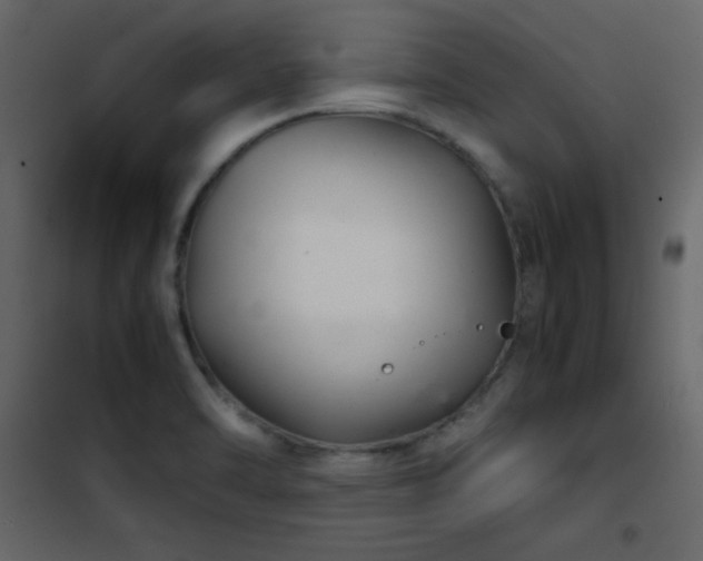 X0000102481470200808081254