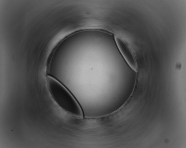X0000102481472200808081253