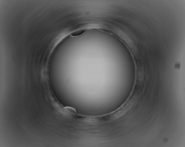 X0000102481473200808081253