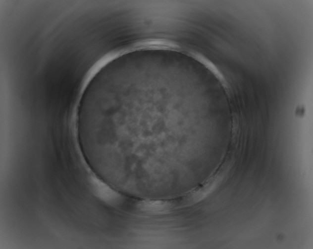 X0000102481474200808081253