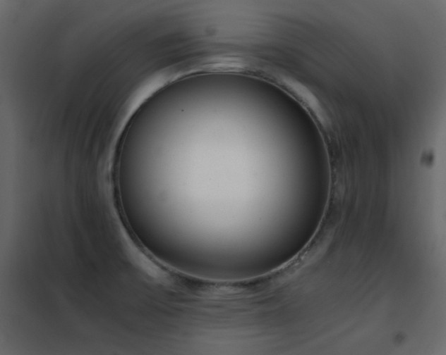 X0000102481475200808081253