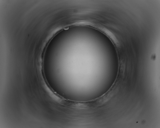 X0000102481476200808081253
