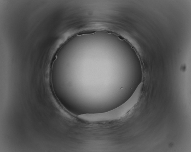 X0000102481477200808081253