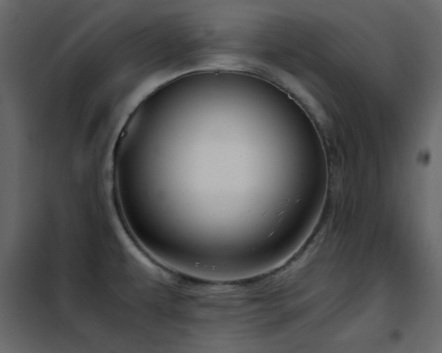X0000102481479200808081253