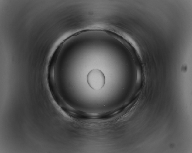 X0000102481480200808081253