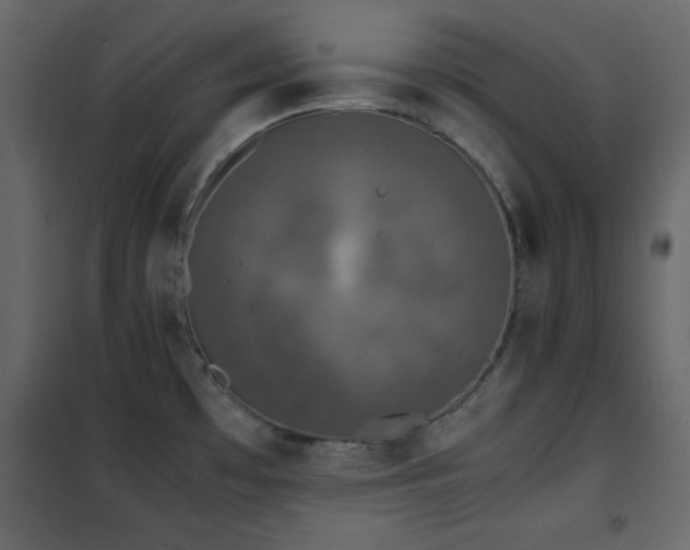 X0000102481481200808081253