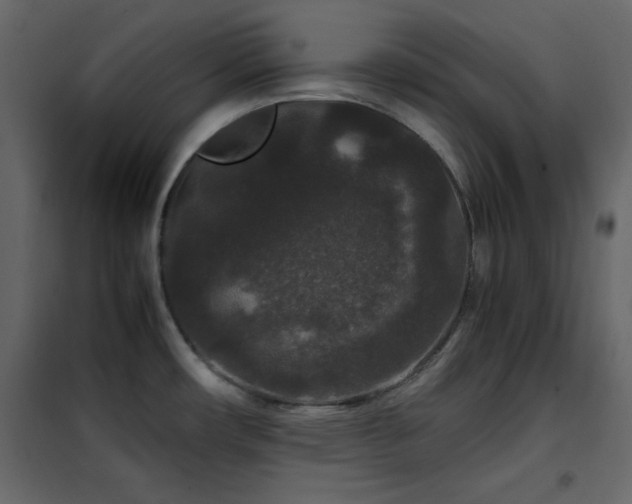 X0000102481482200808081253