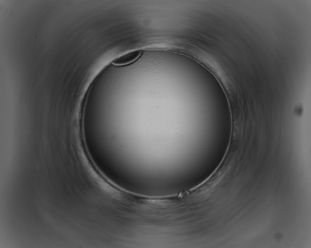 X0000102481483200808081253