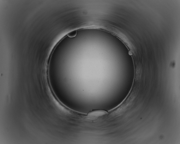 X0000102481484200808081253