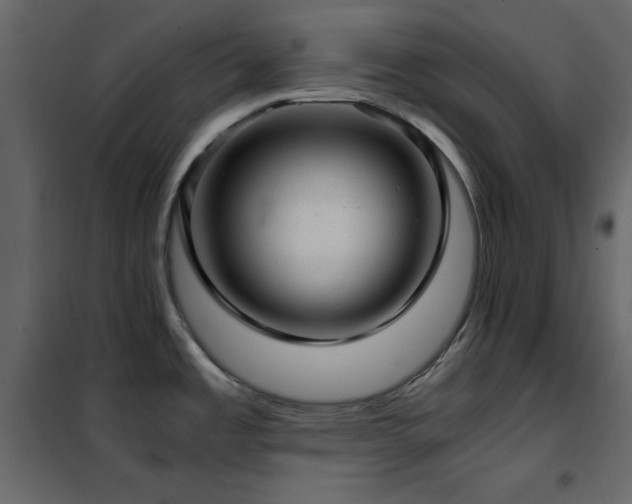 X0000102481485200808081253