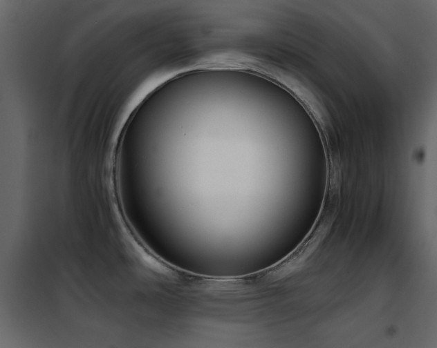 X0000102481486200808081253