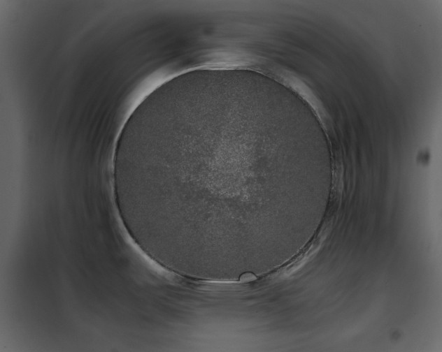 X0000102481487200808081253