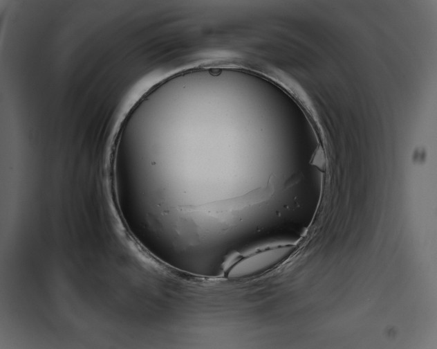 X0000102481488200808081253