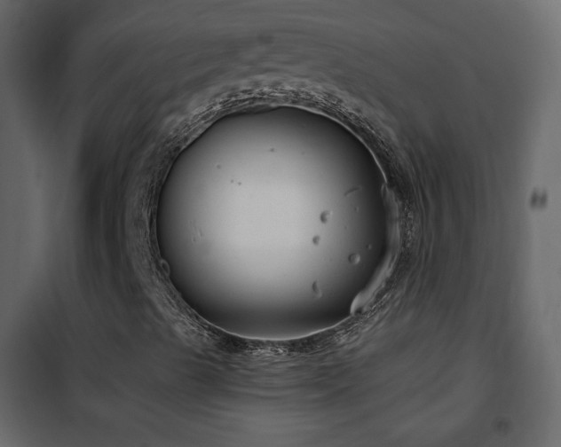 X0000102481489200808081252