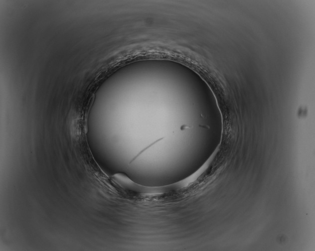 X0000102481490200808081252