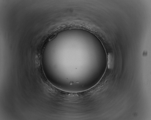 X0000102481491200808081252