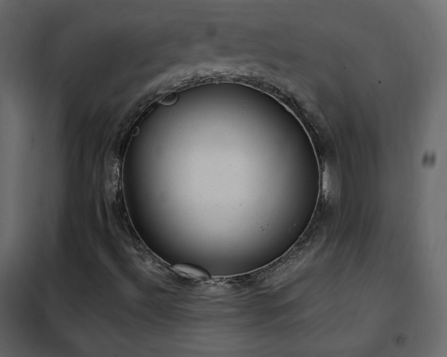 X0000102481492200808081252