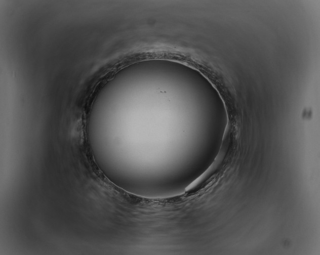 X0000102481493200808081252