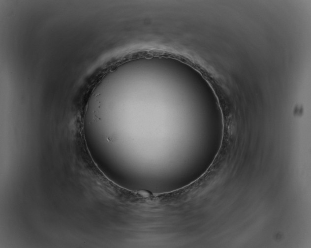 X0000102481495200808081252