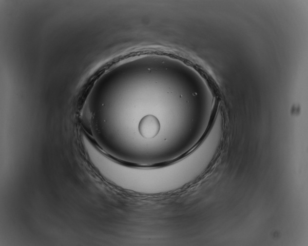 X0000102481496200808081252