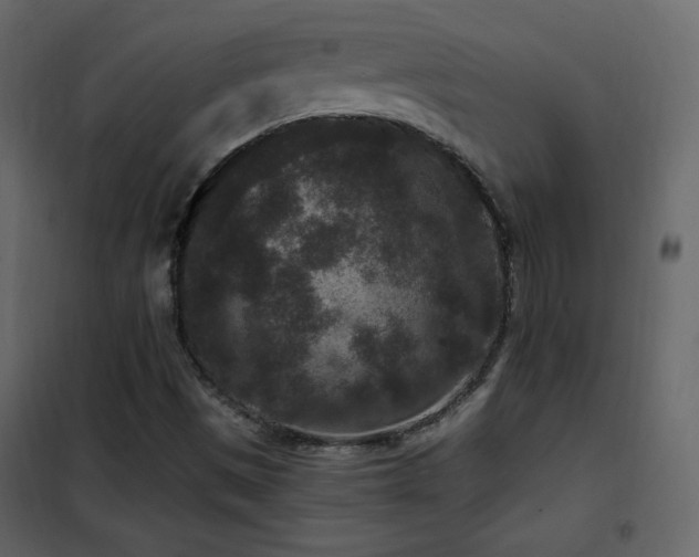 X0000102481497200808081252