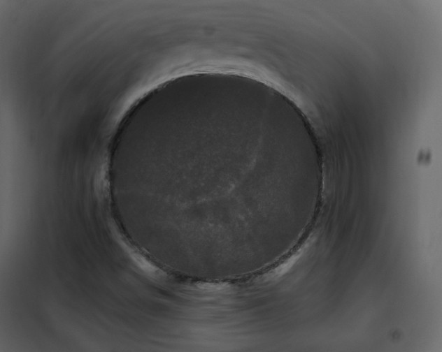 X0000102481498200808081252