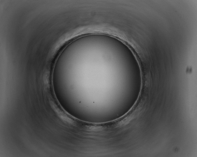 X0000102481499200808081252