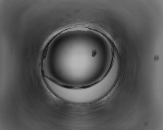 X0000102481500200808081252