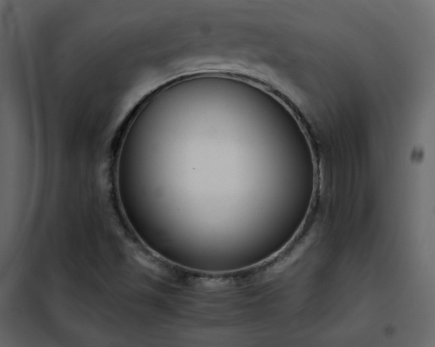 X0000102481501200808081253