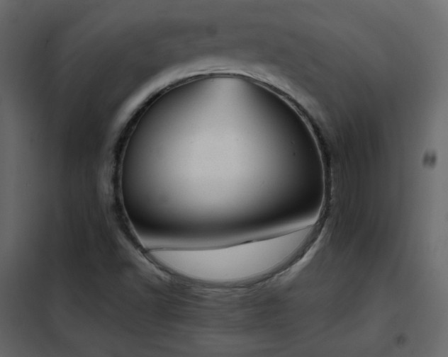 X0000102481502200808081253