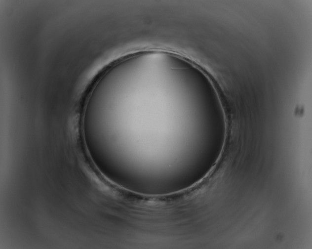 X0000102481503200808081253