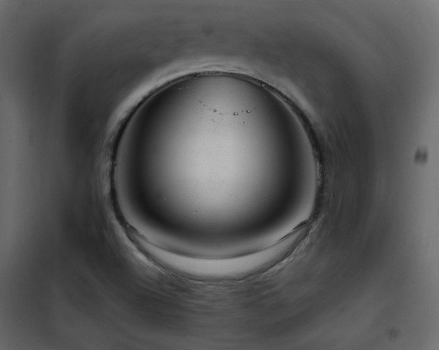 X0000102481504200808081253