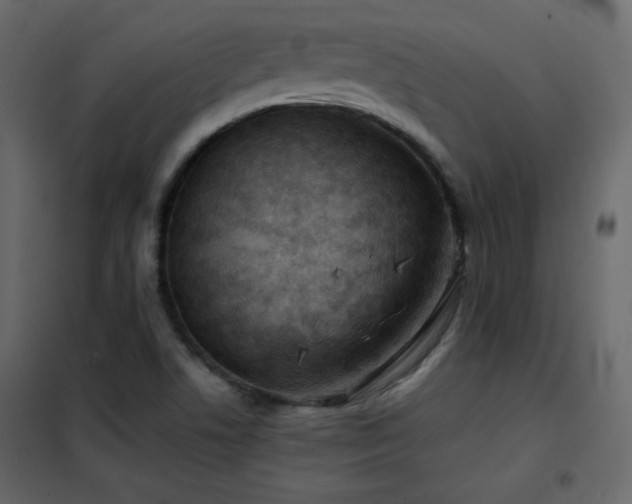 X0000102481506200808081253