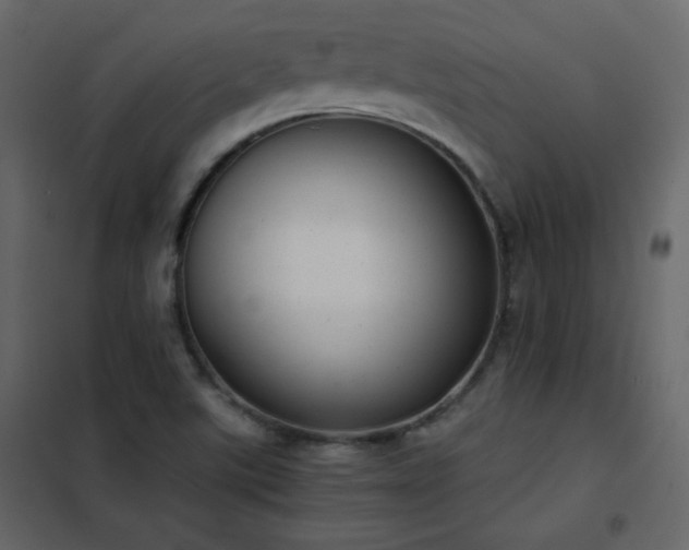 X0000102481507200808081253
