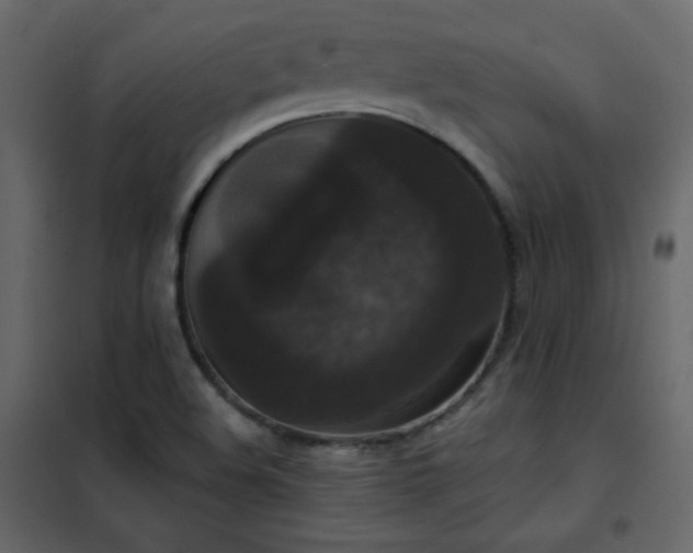 X0000102481508200808081253