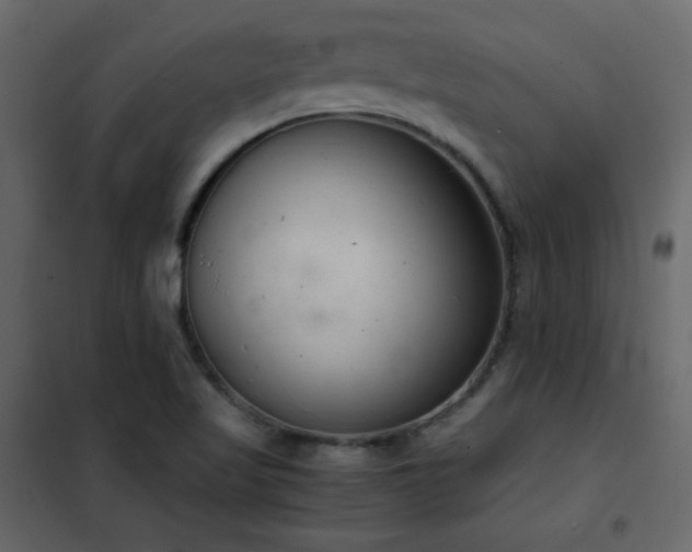 X0000102481509200808081253