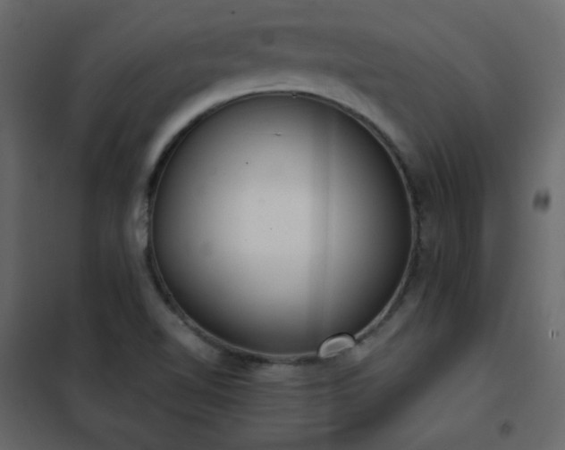 X0000102481510200808081253