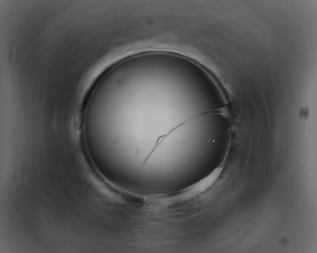 X0000102481511200808081253