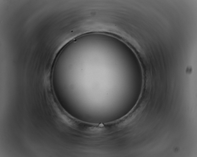 X0000102481513200808081253