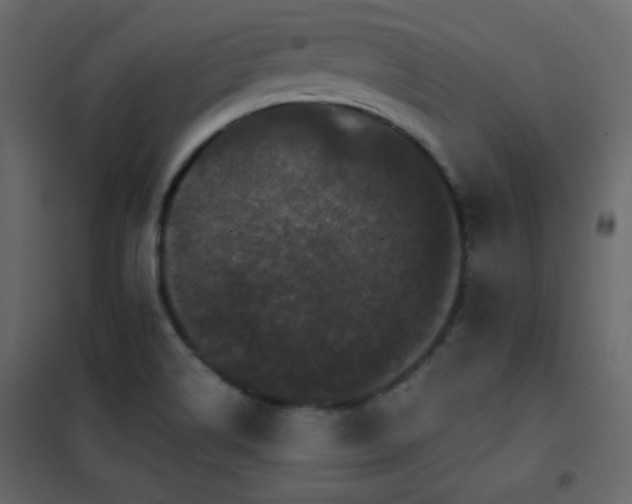 X0000102481514200808081253