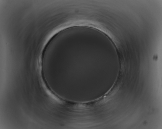 X0000102481515200808081253