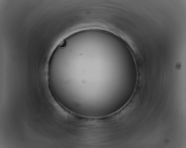 X0000102481516200808081253